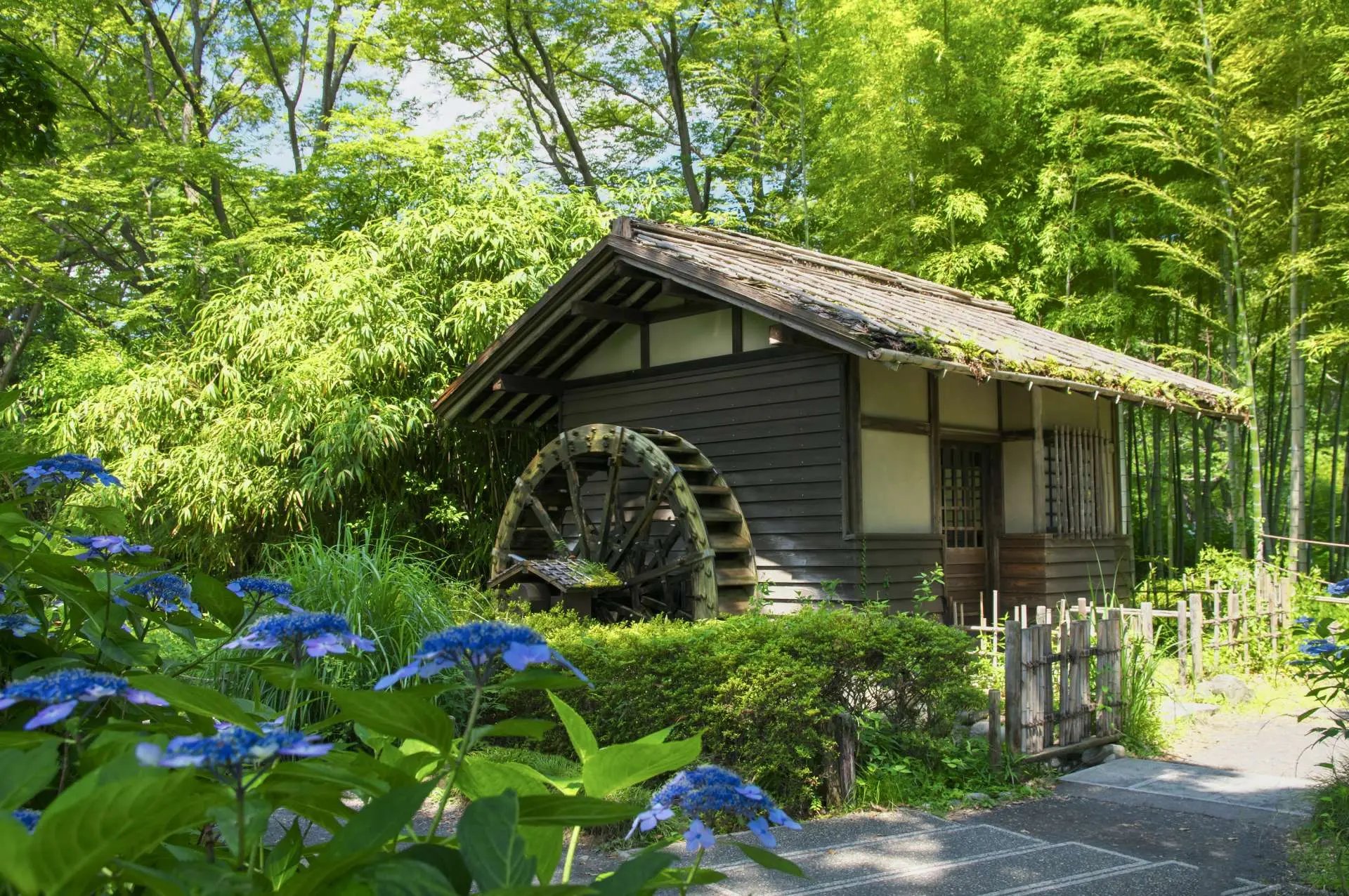 🏞️ 후추시 향토의 숲 박물관 (후추시 쿄도노모리 하쿠부츠칸) 이미지 5